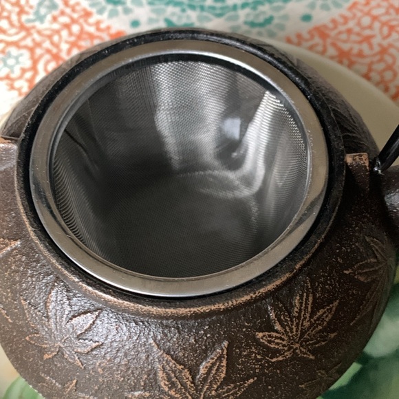 Japanese Tetsubin Cast Iron Teapot 20oz - Picture 6 of 12